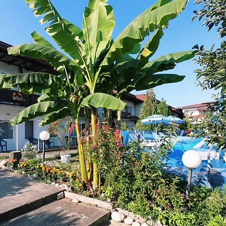 панорама 2*